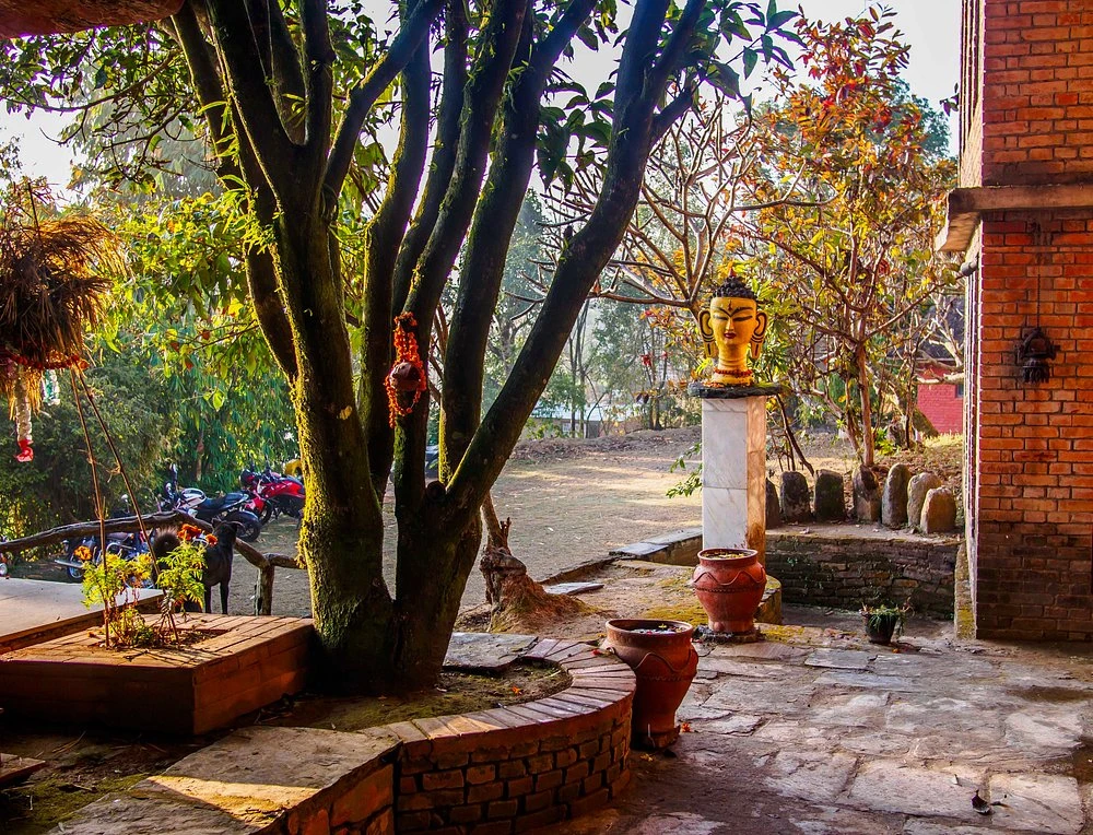 When Nature Meets Nurture